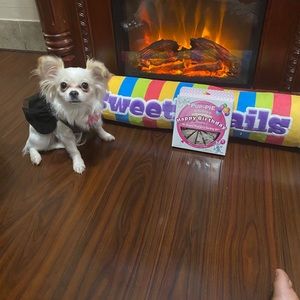 Meet your Posher, Grisel